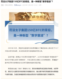 律师肖飒：美国罚没太子集团陈志150亿BTC的背后，是一种新型“数字霸凌”​